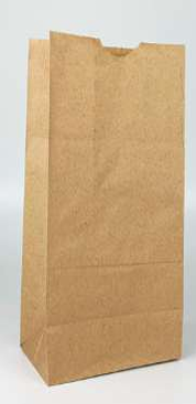 Paper Bag with Base (SOS)
